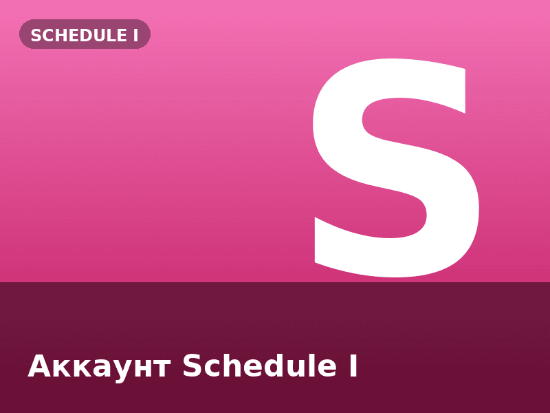 Аккаунт Schedule I