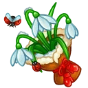 Pretty Posy Edelweiss