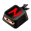 Input Key Ninja