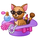 Spring Basket Chihuahua