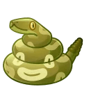 Happy Brownie Rattlesnake