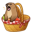Spring Basket Marmot