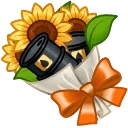 Pretty Posy Sunflower Oil