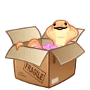 Snake Box Fragile