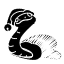Pet Snake Black Mamba