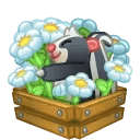 Spring Basket Daisy Skunk