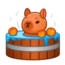 Spring Basket Capybara