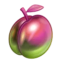 Precious Peach Bright Coral
