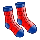 Fresh Socks Spider Web